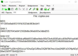 Cryptotext Editor - Текстовый редактор с шифрованием