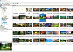 Ekspos Image Viewer - Программа просмотра изображений