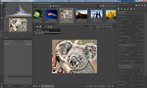 Кросс-платформенная программа для обработки необработанных изображений.