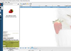 Strawberry Music Player - Аудиоплеер