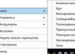 OpenRuCapture - Скриншот экрана Windows