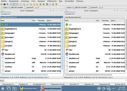 Double Commander - Файловый менеджер для Astra Linux и Alt Linux